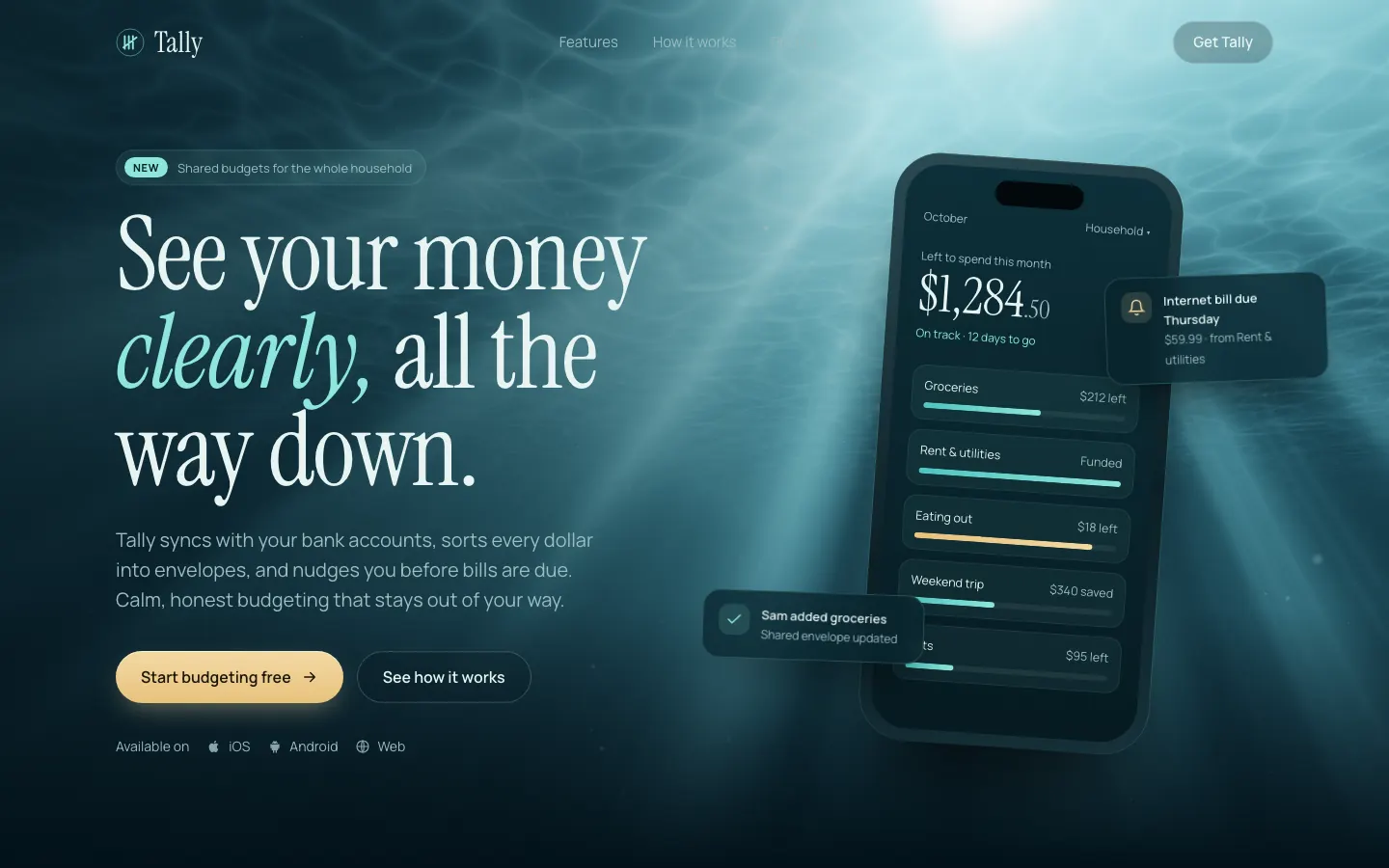 After: Tally landing page, made with 3D Underwater God Rays (Meng To)