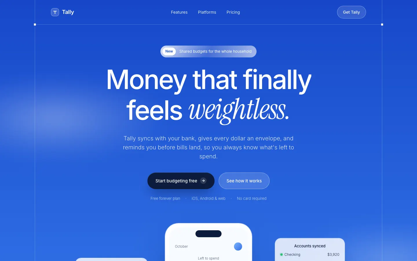 After: Tally landing page, made with Blue Cloudy Clean Modern (Meng To)