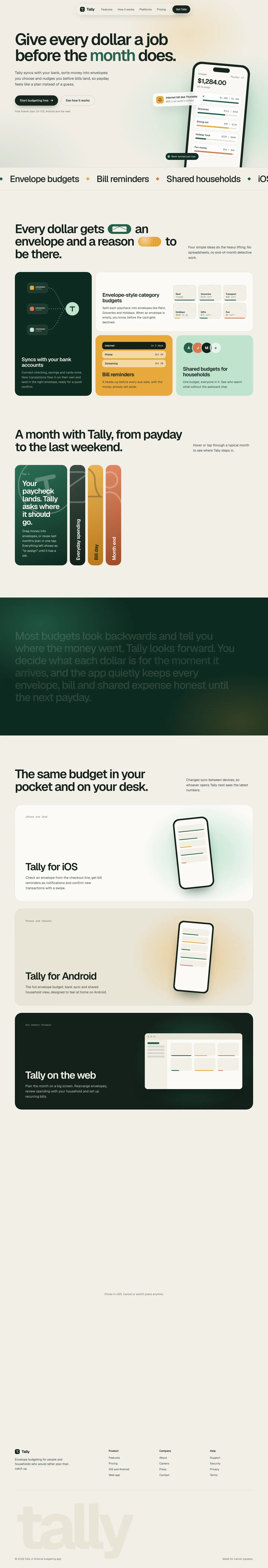 After: Tally landing page, made with GPT Taste (Taste Skill)